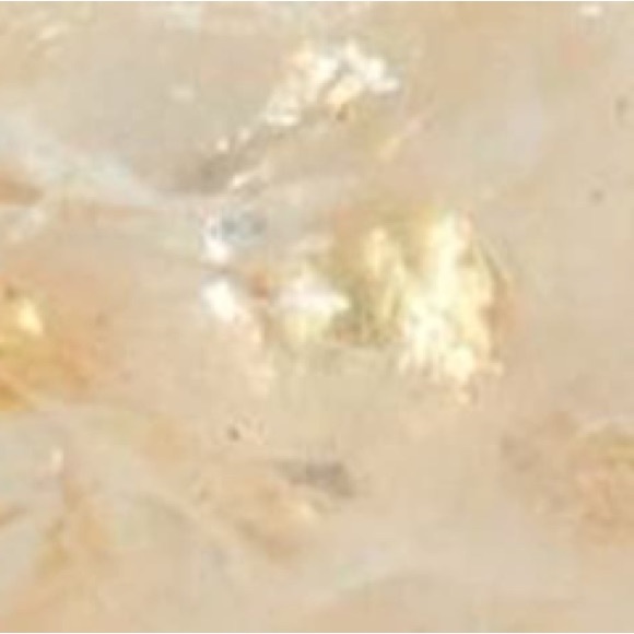 Madewell Stone Collection Citrine Stud Earrings - Picture 8 of 8